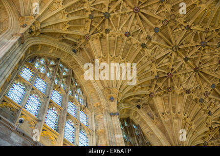 Schöner Innenraum Kirche Fenster und Lüfter Voltigieren Architekturdetail an der Decke des historischen mittelalterlichen Sherborne Abbey, Sherborne, Dorset, Großbritannien Stockfoto