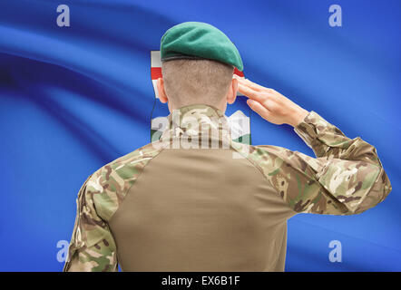 Soldat, salutieren, kanadische Provinz Flagge Serie - Alberta Stockfoto