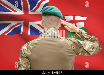 Soldat, salutieren, kanadische Provinz Flagge Serie - Ontario Stockfoto