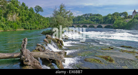 Am Rheinfall, Schaffhausen, Schweiz. Stockfoto