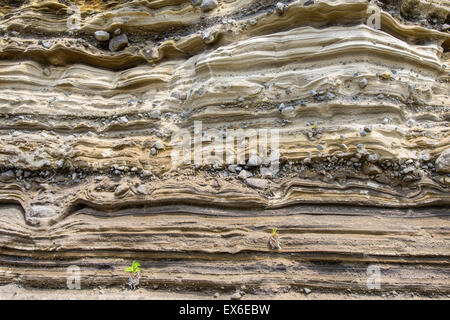 Sedimentgestein (pyroklastischen Ablagerung) bei Suwolbong, UNESCO Global Geopark, Insel Jeju, Korea. Stockfoto