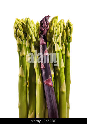 Spargel-Farn Spargel grün und rot lila, Spargel Officinalis, Frühling Frühling Gemüse, Gemüse, Pflanzen, fein s Stockfoto