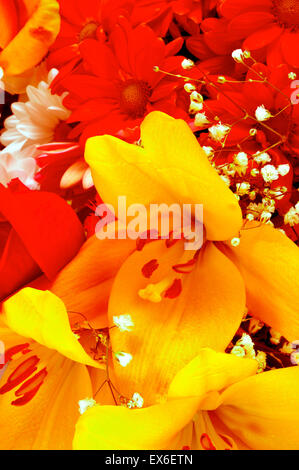 Nahaufnahme von einem bunten Blumenstrauß mit Gänseblümchen, Liliums und andere Blumen Stockfoto