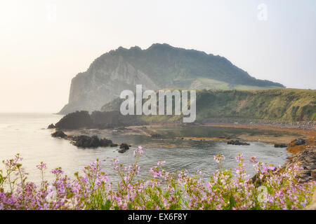 Landschaft der Seongsan Ilchulbong, Blick vom Olle Trail Nr. 1 am Morgen. Ilchulbong ist ein Vulkankegel befindet sich auf der östlichen Stockfoto