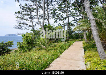 Blick auf Olle Trail Kurs Nr. 7 in Insel Jeju, Korea. Olle besticht durch trekking Kurse entlang der Küste von Jeju Insel erstellt. Stockfoto