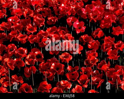 Kunst-Installation mit dem Titel "Blut Mehrfrequenzdarstellung Länder und Meere of Red". Der trockene Graben war mit 800.000 Keramik Mohnblumen zum Gedenken an den ersten Weltkrieg Centenary gefüllt. Erstellt von Keramik-Künstler Paul Cummins und Theater Bühnenbildner Tom Piper. Stockfoto