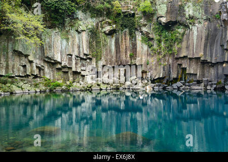 Cheonjeyeon Nr. 1 Kaskade. Cheonjeyoen fällt (bedeutet am Teich von Gott) besteht aus 3 fällt. Eine Vielzahl von Pflanzen, Inclued Psilo Stockfoto