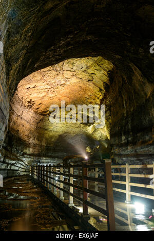 Manjanggul-Höhle auf der Insel Jeju, Korea. Manjanggul ist eines der feinsten Lava-Tunnel der Welt. Stockfoto