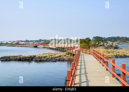 Landschaft der Olle Cours Nr. 2 in Insel Jeju, Korea. Olle besticht durch trekking Kurse entlang der Küste von Jeju Insel erstellt. Stockfoto