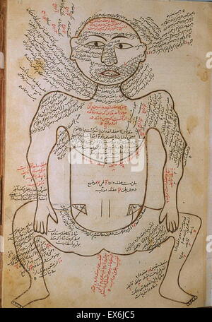 Illustration aus "Tashrih-i Badan-ich Insan [Anatomie des menschlichen Körpers]" ein persischer medizinischer Text (ca. 1390); von Mansur ibn Muhammad ibn Ahmad ibn Yusuf ibn Ilyas. diese bebilderte Abhandlung oft genannt Mansur Anatomie (Tashrih-i Mansur-ich), war engagierte t Stockfoto