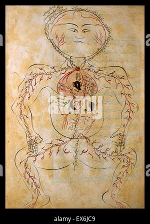 Illustration aus "Tashrih-i Badan-ich Insan [Anatomie des menschlichen Körpers]" ein persischer medizinischer Text (ca. 1390); von Mansur ibn Muhammad ibn Ahmad ibn Yusuf ibn Ilyas. diese bebilderte Abhandlung oft genannt Mansur Anatomie (Tashrih-i Mansur-ich), war engagierte t Stockfoto