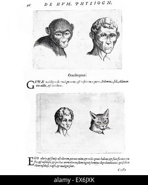 Illustration auf Physiognomie aus 'De Humana Physiognomonia Libri IIII'; (1586) von Giambattista della Porta (1535-1615), auch bekannt als Giovanni Battista Della Porta, ein italienischer Gelehrter. Physiognomie, oder die Vorstellung, das Temperament und den Charakter einer Person Stockfoto