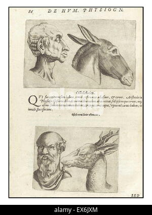 Illustration auf Physiognomie aus 'De Humana Physiognomonia Libri IIII'; (1586) von Giambattista della Porta (1535-1615), auch bekannt als Giovanni Battista Della Porta, ein italienischer Gelehrter. Physiognomie, oder die Vorstellung, das Temperament und den Charakter einer Person Stockfoto