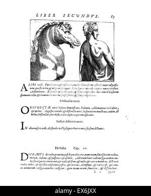 Illustration auf Physiognomie aus 'De Humana Physiognomonia Libri IIII'; (1586) von Giambattista della Porta (1535-1615), auch bekannt als Giovanni Battista Della Porta, ein italienischer Gelehrter. Physiognomie, oder die Vorstellung, das Temperament und den Charakter einer Person Stockfoto