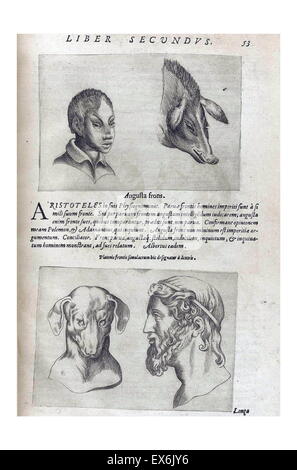 Illustration auf Physiognomie aus 'De Humana Physiognomonia Libri IIII'; (1586) von Giambattista della Porta (1535-1615), auch bekannt als Giovanni Battista Della Porta, ein italienischer Gelehrter. Physiognomie, oder die Vorstellung, das Temperament und den Charakter einer Person Stockfoto