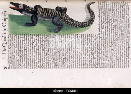 Krokodil Illustration aus "Medici Tigurini Historiae Animalium" Historia Animalium 1564; ein Veterinär anatomische Buch von Conradi Gesneri 1516-1584 Stockfoto