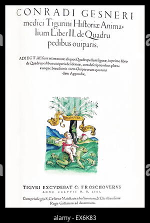 Deckblatt Abbildung eines Kindes auf einen Frosch aus ' Medici Tigurini Historiae Animalium "Historia Animalium 1564; ein Veterinär anatomische Buch von Conradi Gesneri 1516-1586 Stockfoto