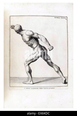 anatomische Studie von Bernardino Genga ' Anatomia pro uso et Intelligenza del Disegno Ricercata non Solo Su gl'ossi e Muscoli del Corpo Humano ". (Rom, 1691). Bernardino Genga (1620-1690) war ein Gelehrter der klassischen medizinischen Texte bearbeiten mehrere Werke von Hi Stockfoto