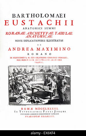 Illustration aus "Tabulae Anatomicae". (Rom: 1783) von Bartolomeo Eustachi (1500 oder 1514 – 27 August 1574), (Eustachius), einer der Gründer der Wissenschaft von der menschlichen Anatomie. Stockfoto