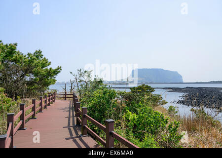 Landschaft der Olle Cours Nr. 2 in Insel Jeju, Korea. Olle besticht durch trekking Kurse entlang der Küste von Jeju Insel erstellt. Stockfoto