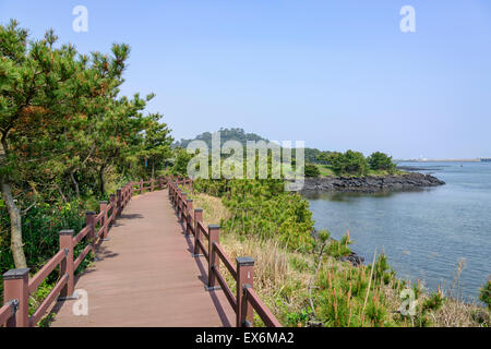 Landschaft der Olle Cours Nr. 2 in Insel Jeju, Korea. Olle besticht durch trekking Kurse entlang der Küste von Jeju Insel erstellt. Stockfoto