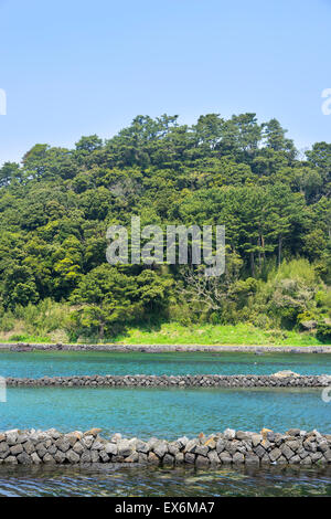 Landschaft der Olle Cours Nr. 2 in Insel Jeju, Korea. Olle besticht durch trekking Kurse entlang der Küste von Jeju Insel erstellt. Stockfoto