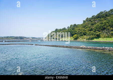 Landschaft der Olle Cours Nr. 2 in Insel Jeju, Korea. Olle besticht durch trekking Kurse entlang der Küste von Jeju Insel erstellt. Stockfoto