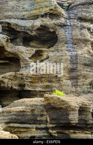 Mehrstöckige geschichtet rau und seltsame Sedimentgesteine im berühmten touristischen Ort Yongmeori Coast(Dragon head coast) in Jeju Island, Stockfoto