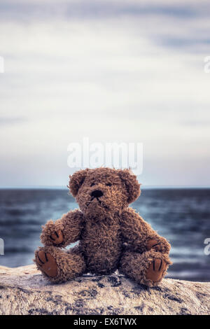 ein Teddybär sitzt auf einem Stein am Meer Stockfoto