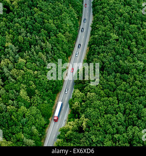 Straße durch den Wald, über Ansicht auseinander Stockfoto