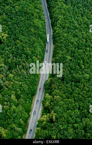 Straße durch den Wald, über Ansicht auseinander Stockfoto