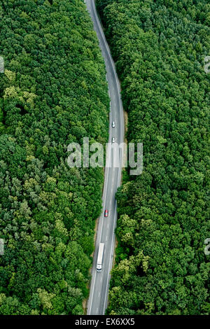 Straße durch den Wald, über Ansicht auseinander Stockfoto