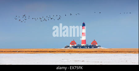 Herde von Weißwangengans überfliegen des Leuchtturms Westerheversand im Schnee im Winter bei Westerhever, Wadden Sea NP, Deutschland Stockfoto