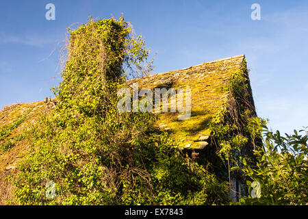 Ein Lauf nach unten aber noch in alten mittelalterlichen Tudor gerahmte Holzhaus in Eardisland, Herefordshire, England lebte. Eardisland wurde zum schönste Dorf in England gewählt. Stockfoto