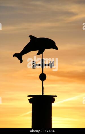 Delphin Wetterfahne bei Sonnenuntergang, Half Moon Bay, Kalifornien. Stockfoto