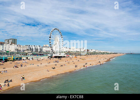 Brighton Beach mit Strandpromenade und Brighton Rad an einem sonnigen Sommertag, Brighton, East Sussex, UK Stockfoto