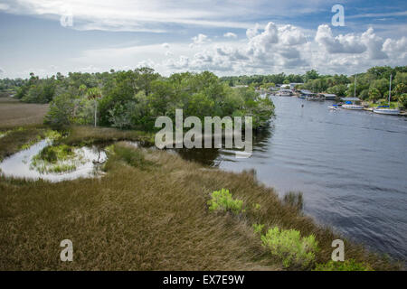 Steinhatchee River in der Nähe von Golf der Mexica, Florida Stockfoto