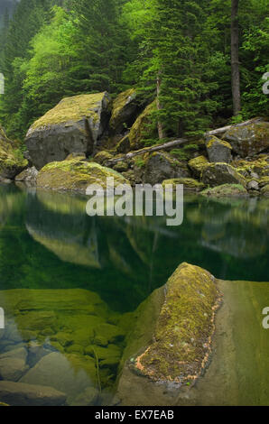 Skagit River Gorge, Ross Lake National Recreation Area, North-Cascades-Washington Stockfoto