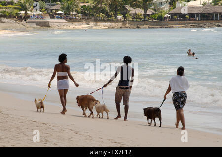 Zwei Frauen und ein Mann zu Fuß einen Hund am Strand, Insel Mahe, Indischer Ozean, Seychellen Stockfoto