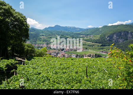 Italienischen Norden Landschaft mit Weinbergen in der Nähe am Gardasee Stockfoto