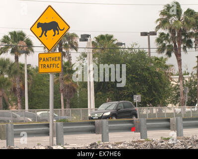 Kreuzung Warnschild entlang einer Straße in Naples, Florida Panther Stockfoto