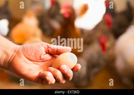 Mann hält Ei in der hand Stockfoto