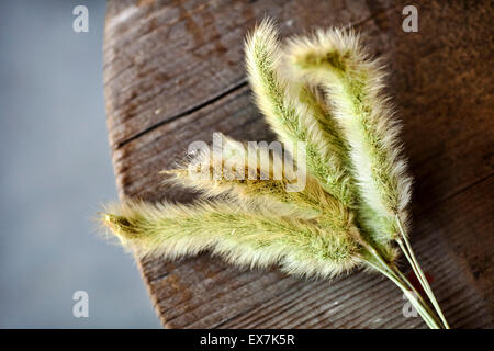 Trockenen Grases Blume auf Holztisch, Herbst Hintergrund, Retro-Karte Stockfoto