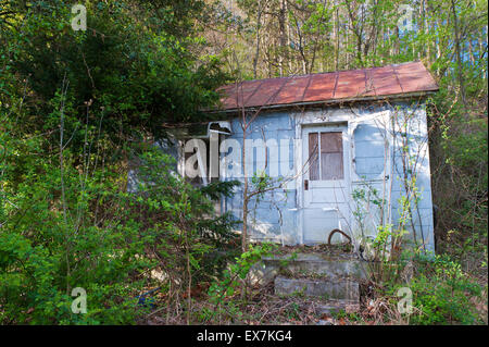 Alte verlassene Blockhütte überwuchert von Vegetation im ländlichen Virginia, USA. Stockfoto