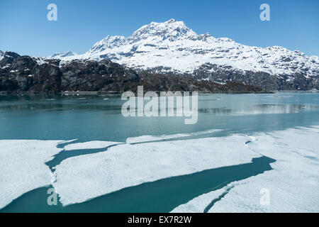 Eisberge schwimmen im Glacier Bay National Park Stockfoto