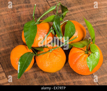 Reife Tangelos mit frischen grünen Blättern auf Holztisch Stockfoto