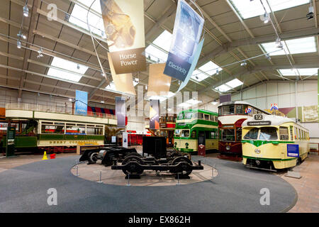 Eine Auswahl an bunten Straßenbahnen in der Ausstellungshalle an der nationalen Straßenbahnmuseum Crich, Derbyshire, UK Stockfoto