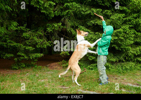 Kleiner Junge im Freien spielen und werfen Stick für den Hund im Wald Stockfoto
