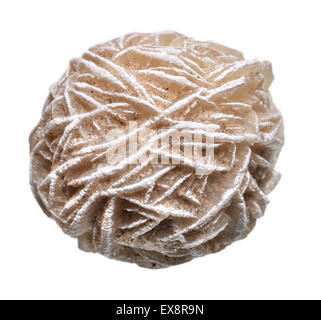 Desert Rose - Baryte (Bariumsulfat) Stockfoto