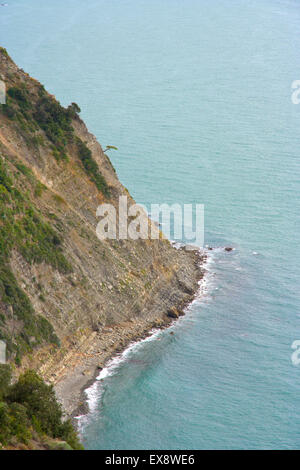 Felsige Steilküste der Cinque Terre Küste Ligurien Italien Stockfoto